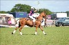 UKPA NC SAT_2311